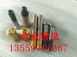 閥針鍍鈦處理 閥針鍍鈦 東莞金誠(chéng)鍍鈦廠