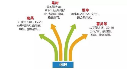 揭秘肥料4.0科技內幕 諾泰爾五星產品您需要知道這些！